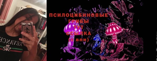 гидра Аркадак
