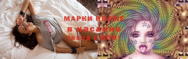 гидра Аркадак