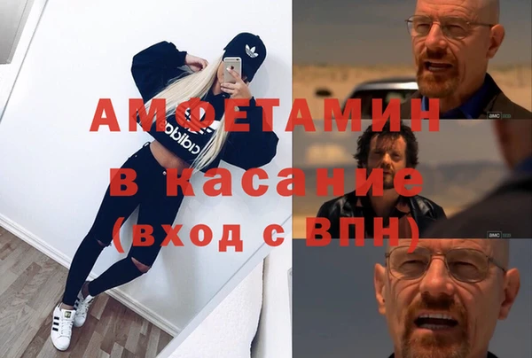 гидра Аркадак