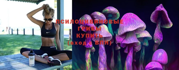 трава Армянск