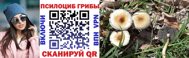 Галлюциногенные грибы Magic Shrooms  купить закладку  Спасск 